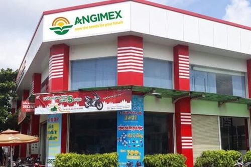 Angimex bị phạt do vi phạm quy định giao dịch cổ phiếu