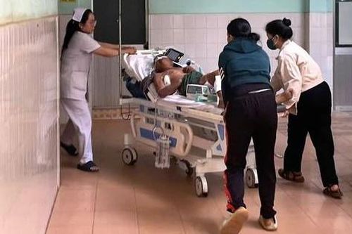 Đi chăn trâu, cụ ông 77 tuổi bị trâu húc phải nhập viện
