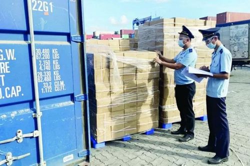 TP. Hồ Chí Minh: Hải quan loay hoay với lô hàng 'lạ'