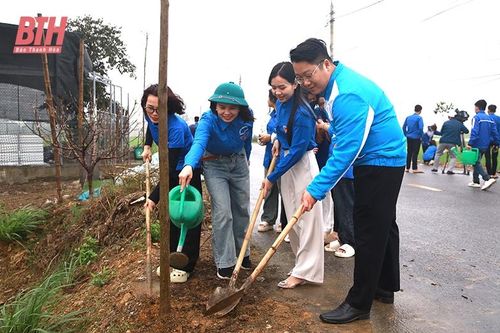 Xung kích, đi đầu trong các phong trào thi đua