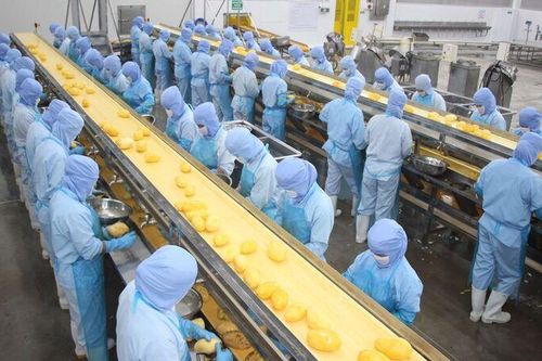 Chợ Mới huy động nguồn lực đầu tư nông nghiệp, du lịch