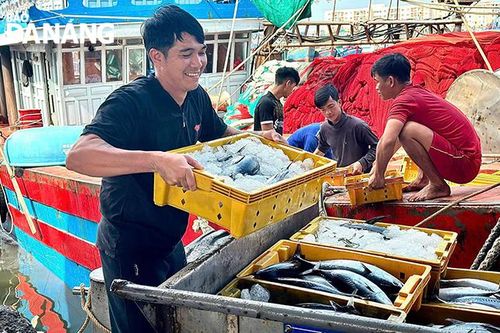 Niềm vui của ngư dân bội thu chuyến biển
