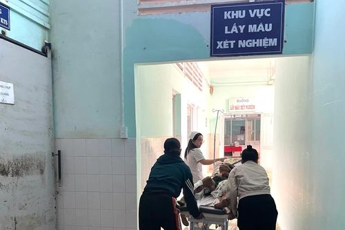 Gia Lai: Cụ ông 77 tuổi bị thương nặng do trâu húc