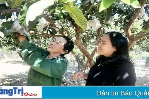 Mô hình kinh tế tổng hợp hiệu quả ở vùng biên