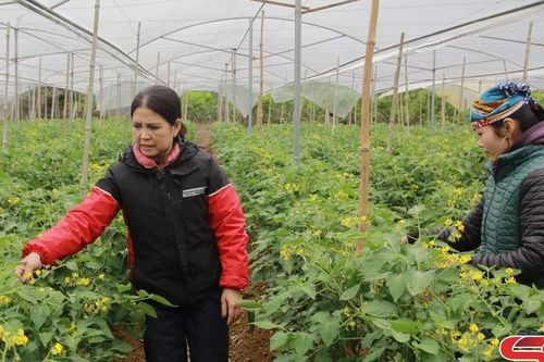 Nông dân Mộc Châu học Bác 'Nói đi đôi với làm'