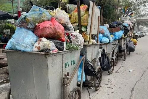 Chưa ai bị phạt vì không phân loại rác