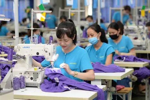 Ngành dệt may tăng tính cạnh tranh nhờ chuyển đổi số