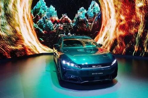 Cổ phiếu BYD tăng vọt