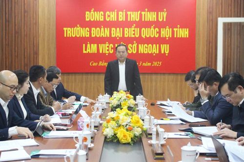 Bí thư Tỉnh ủy, Trưởng Đoàn đại biểu Quốc hội tỉnh Quản Minh Cường làm việc với Sở Ngoại vụ
