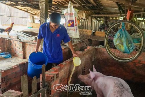 Cậu học trò nghèo và hành trang kỳ lạ