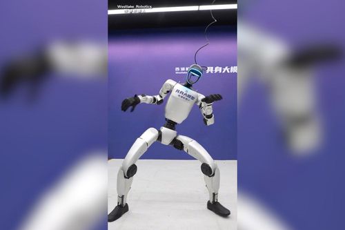 Robot nhảy múa, biểu diễn võ thuật gây sốt mạng xã hội Trung Quốc