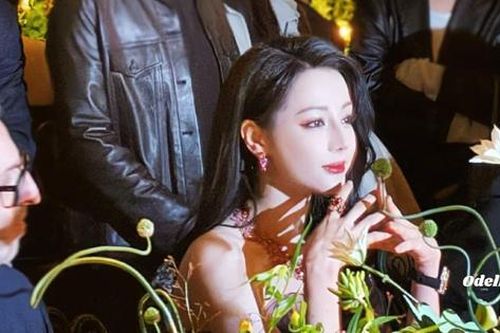 Công chúa Địch Lệ Nhiệt Ba giá đáo đêm tiệc Dior, 1 mỹ nhân cũng không hề kém cạnh