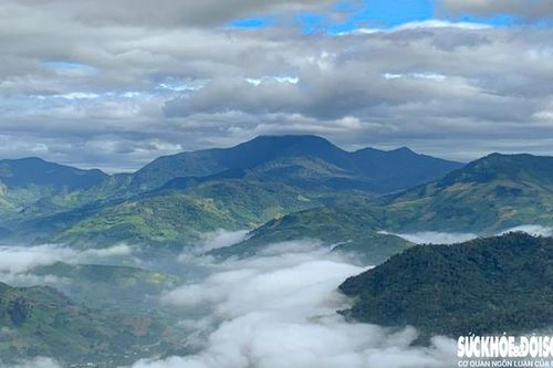 'Săn mây' đẹp như tranh ở Vườn quốc gia Phước Bình