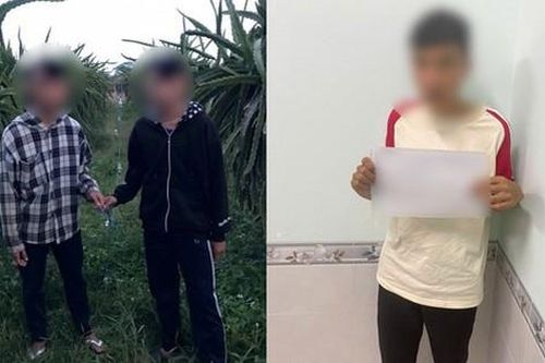 3 học sinh lớp 9 trộm dây điện tại rẫy thanh long của người dân