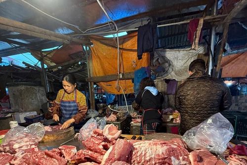Giá lợn hơi 'cắt sốt' nhưng thị trường chưa giảm nhiệt