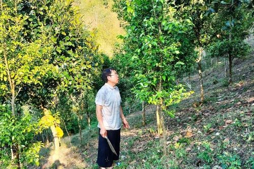 Động lực từ những lá đơn xin thoát nghèo