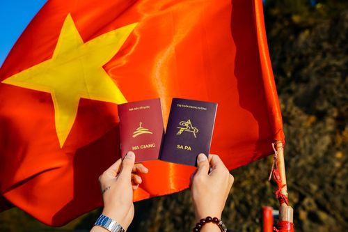 Trào lưu du lịch 'săn' dấu mộc lan đến Sa Pa