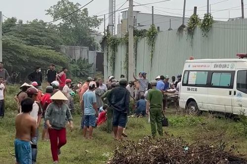TP Hồ Chí Minh: phạt 3 triệu đồng với người đàn ông bị trâu húc