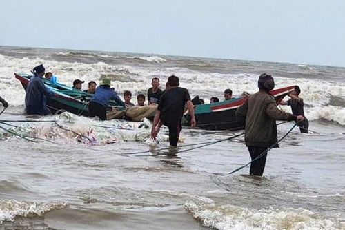 Hà Tĩnh: cứu hộ thành công nhiều ngư dân bị chìm thuyền trên biển