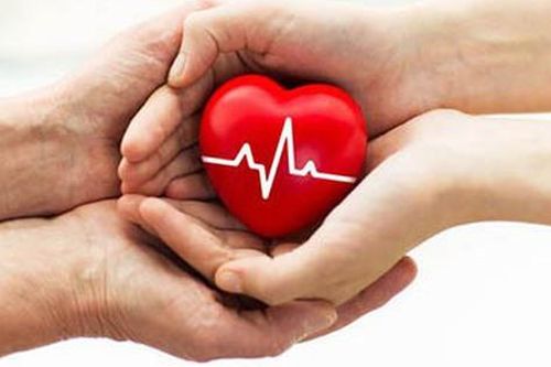 Đề xuất quy định mới về hiến, lấy, ghép mô, bộ phận cơ thể người