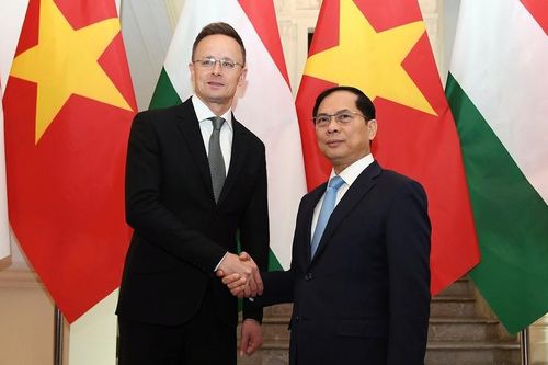 Việt Nam, Hungary phối hợp xây dựng cơ sở pháp lý để tăng cường hợp tác lao động