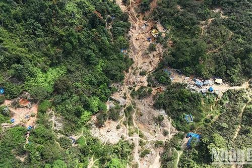 Quảng Nam chỉ đạo kiểm tra, truy quét bãi vàng 38 ở huyện Phước Sơn