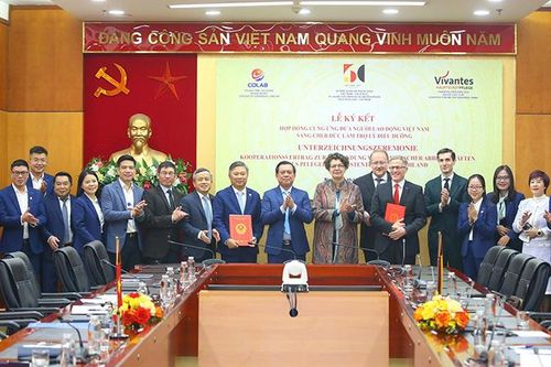 Lao động Việt Nam có thể sang Đức làm trợ lý điều dưỡng