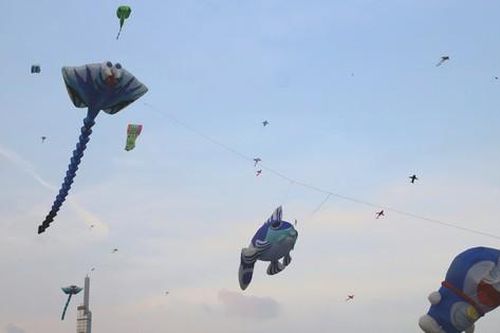 Cánh đồng diều Thủ Thiêm thu hút bạn trẻ Sài Gòn vào mỗi buổi chiều