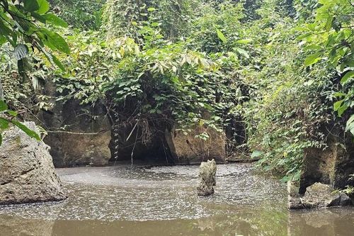 Nước suối Lèn Cò Noóng bị ô nhiễm từ nước thải trang trại lợn