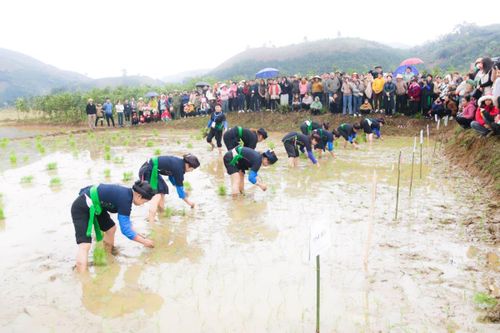 Nét đẹp văn hóa truyền thống của người Tày, Nùng qua Lễ hội Lồng Tồng
