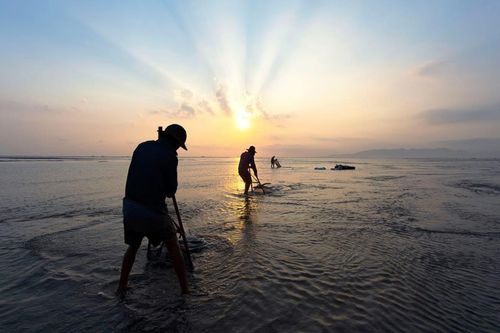 Mùa 'lộc trời' xứ biển