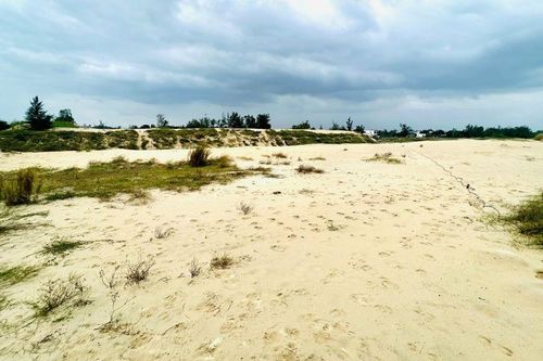 Nan giải 'bài toán' bán đấu giá cát từ nạo vét sông Cổ Cò