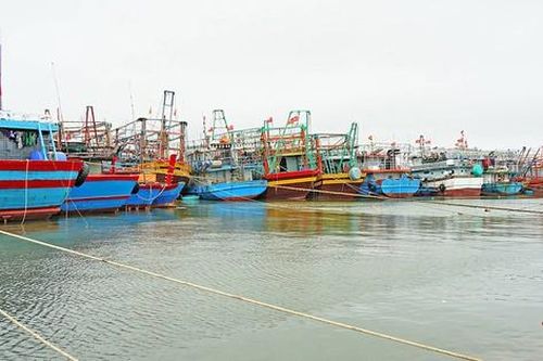 Mùa đánh cá sắp vào vụ nhưng nhiều tàu cá Quảng Trị không thể ra khơi