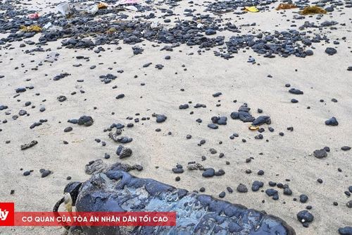 Nước biển ở Lăng Cô thế nào sau sự cố dầu vón cục?