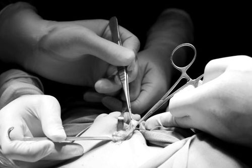 Người đàn ông vỡ đôi tinh hoàn lúc đang ngủ vì cú đập của con trai 8 tuổi