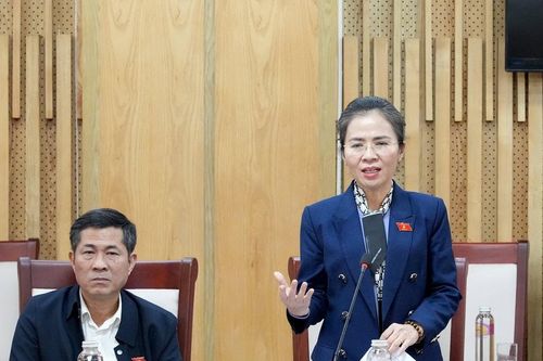 Đoàn đại biểu Quốc hội tỉnh Nghệ An làm việc với UBND tỉnh về giám sát chuyên đề bảo vệ môi trường