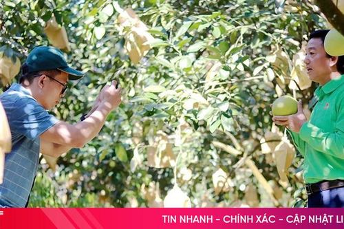 Triển khai chính sách hỗ trợ chuyển đổi số cho doanh nghiệp nhỏ và vừa ở Hà Tĩnh