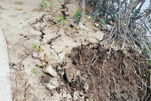 Bạc Liêu: Khắc phục vụ sạt lở bờ kênh, đảm bảo an toàn cho người dân