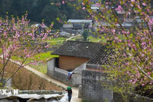 Hà Giang - Điểm đến hấp dẫn du khách quốc tế