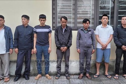 Khởi tố 7 đối tượng về tội 'Tổ chức đánh bạc' và 'Đánh bạc'