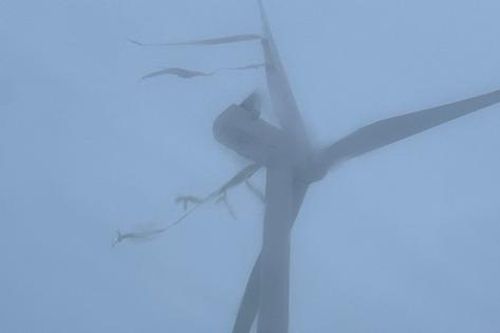 Sự cố với turbine khiến trang trại điện gió 130MW phải đóng cửa