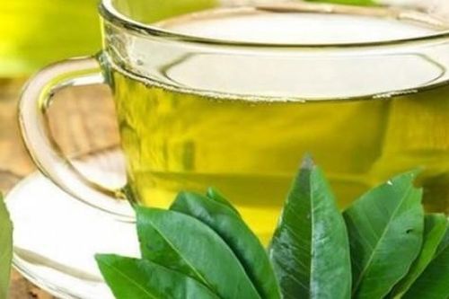 Men gan tăng gấp nhiều lần vì uống lá xạ đen, lá vối để giải độc gan