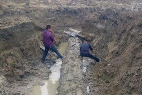 Lão nông đào được khúc gỗ lạ, cảnh sát lập tức phong tỏa hiện trường, chuyên gia tiết lộ giá trị 'không tưởng'