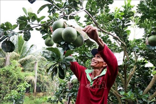 Chuyển hướng sản xuất xanh để thu hút đơn hàng xuất khẩu