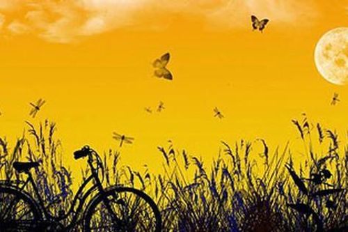 Vẽ màu chiều trong ký ức