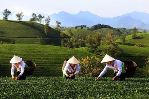 Đa dạng combo du lịch giá ưu đãi trong dịp Giỗ Tổ Hùng Vương