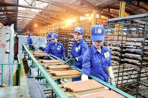 Liên tiếp thua lỗ, 5/7 Thành viên HĐQT công ty họ Viglacera xin từ nhiệm