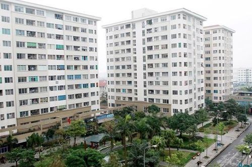 10 đối tượng được ưu tiên thuê nhà ở xã hội tại TP. Hồ Chí Minh