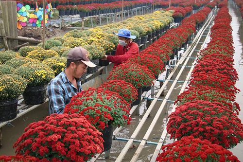Tập trung phát triển sản xuất các ngành hàng chủ lực