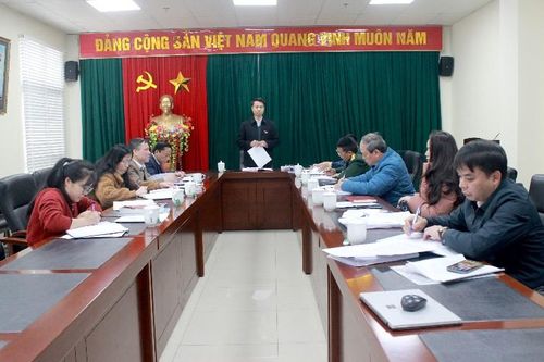 Đoàn Đại biểu Quốc hội tỉnh: Giám sát thực hiện chính sách, pháp luật về bảo vệ môi trường